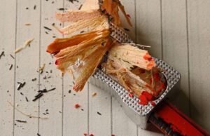 O desgaste- Por que a vida cansa?