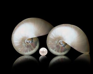 Como Aumentar Resiliência Emocional: 8 Dicas Práticas Só Para os Fracos